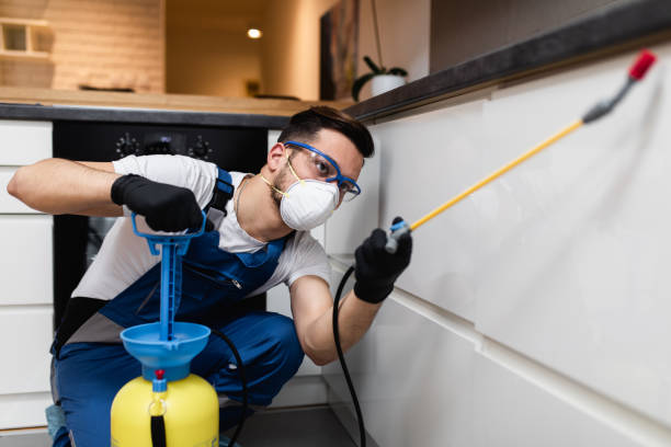Best Wasp Removal Services  in Abbeville, GA