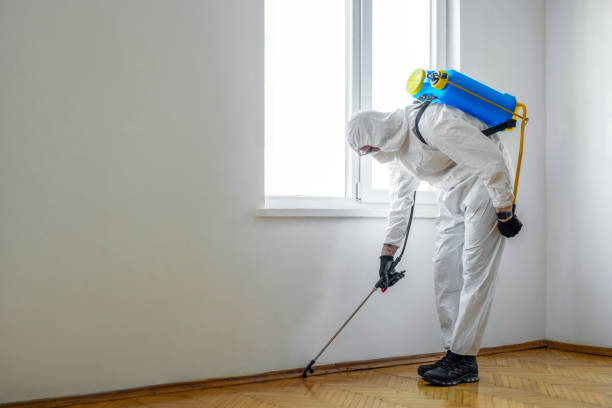 Best Commercial Pest Control Services  in Abbeville, GA