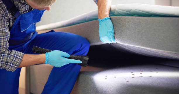 Best Pest Control Near Me  in Abbeville, GA